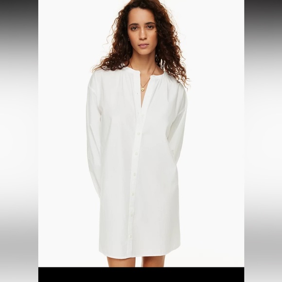 NWT Wilfred Free Tanaro Poplin Dress - Picture 5 of 9